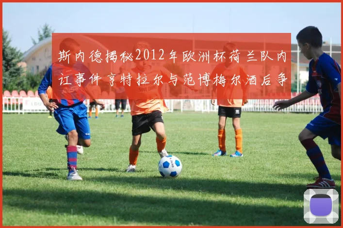 斯内德揭秘2012年欧洲杯荷兰队内讧事件亨特拉尔与范博梅尔酒后争执内幕