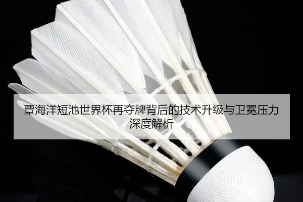 覃海洋短池世界杯再夺牌背后的技术升级与卫冕压力深度解析